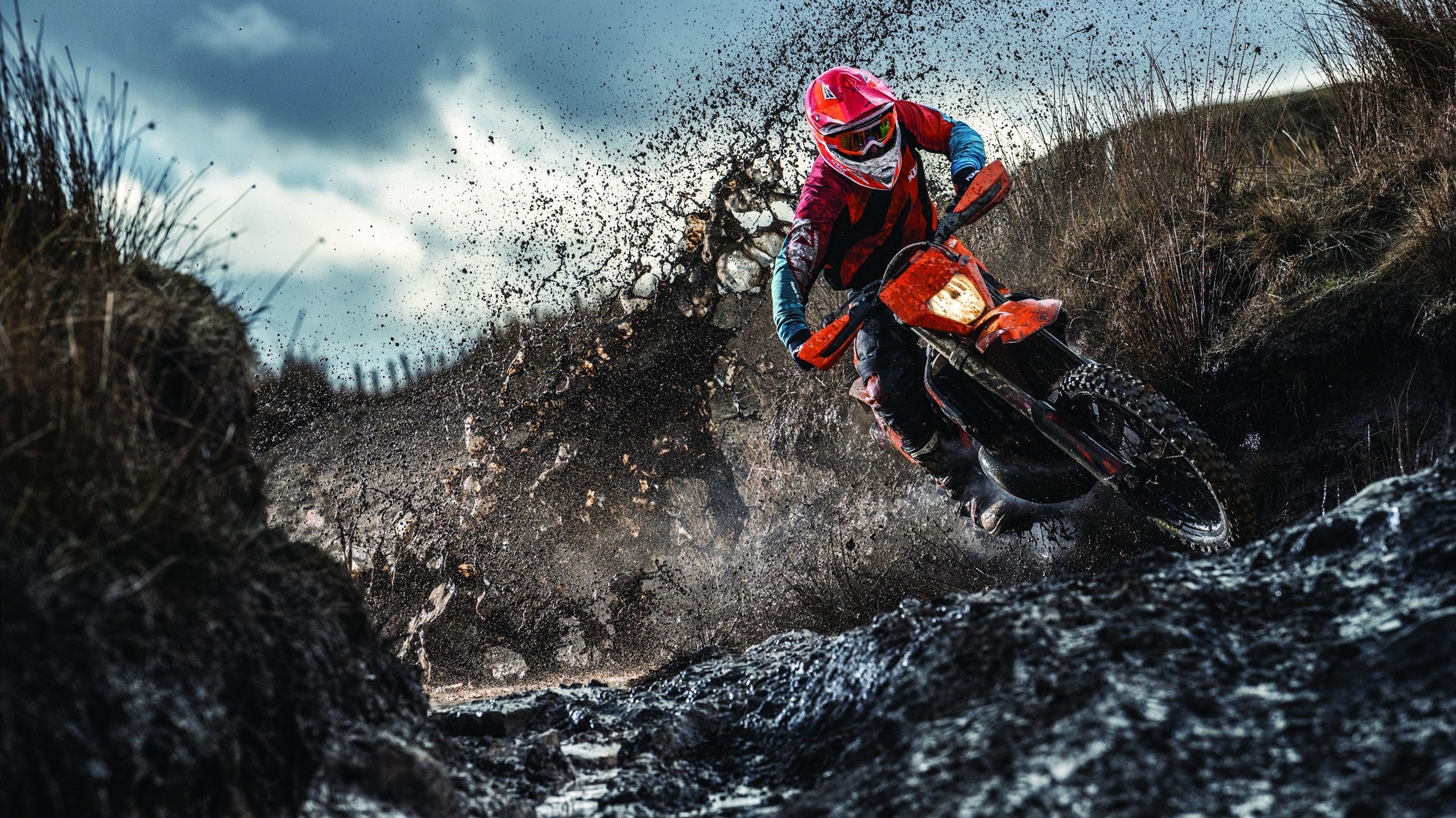 “霍斯特助力南非羚羊队稳守阵地，向世界冠军迈进”