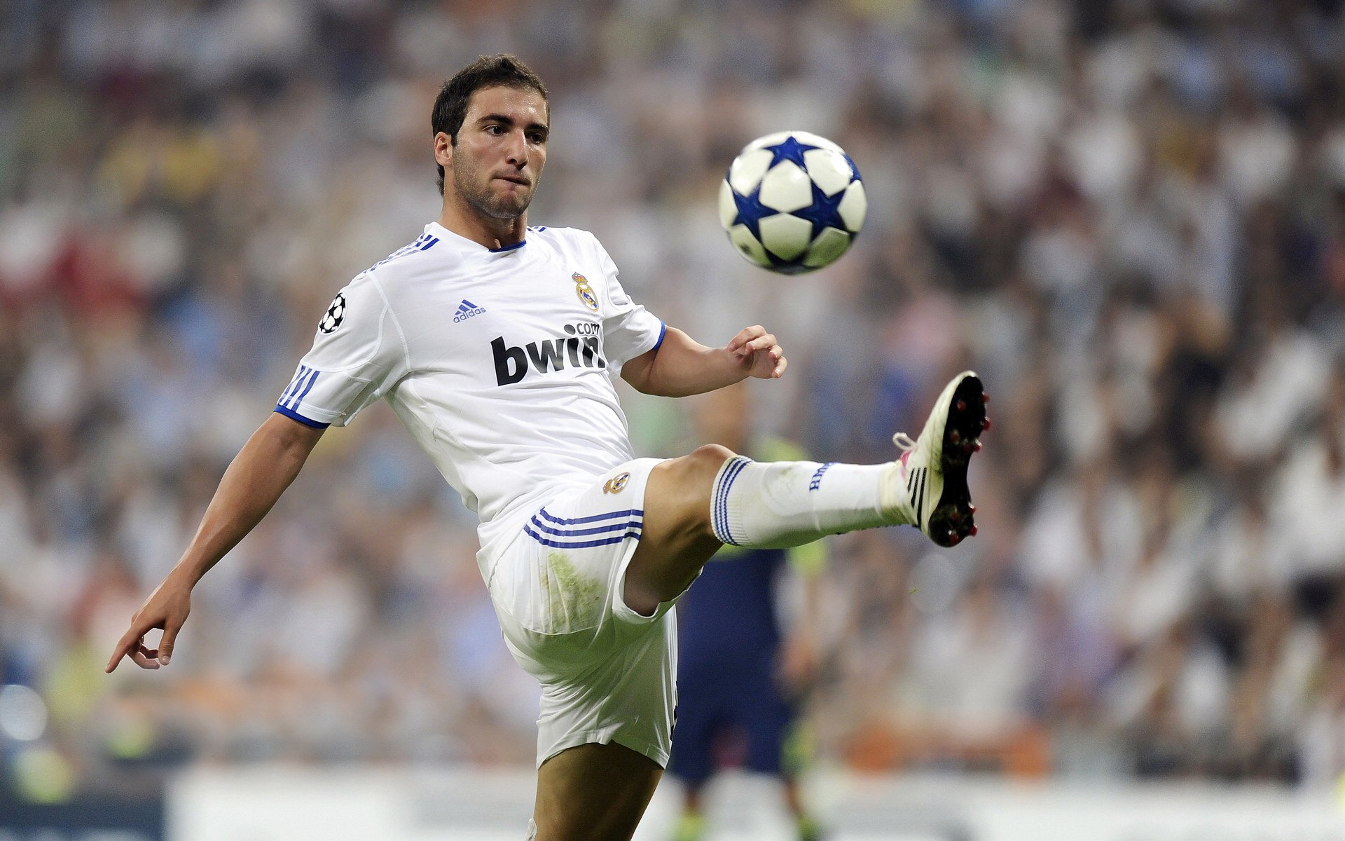 中国篮球的希望正在闪耀，中国篮球的希望在哪里