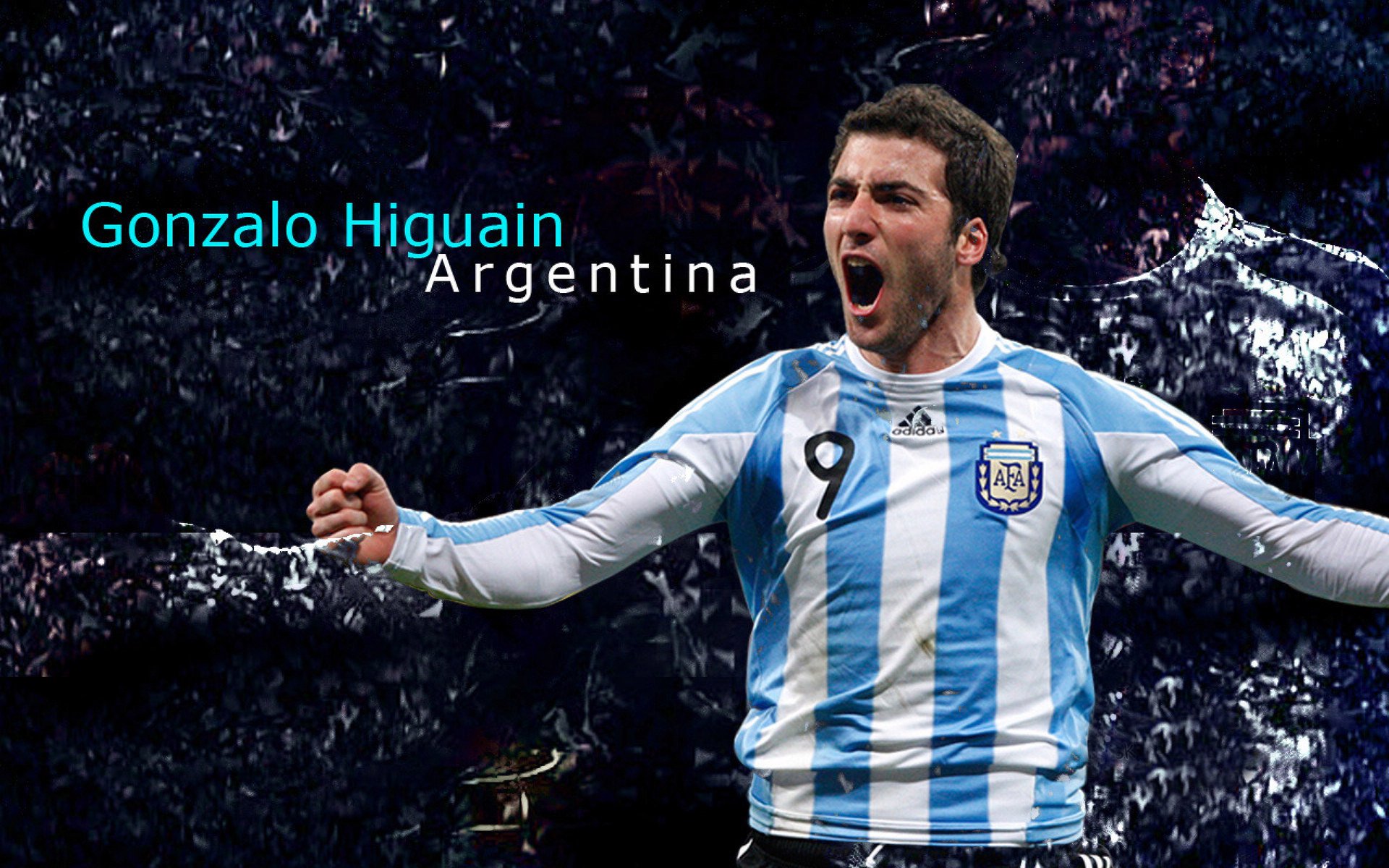 选秀大会：未来之星，谁能脱颖而出？，未来之星综艺节目